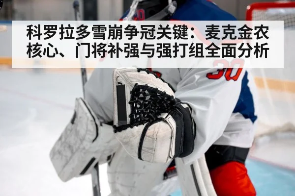 科罗拉多雪崩争冠关键：麦克金农核心、门将补强与强打组全面分析